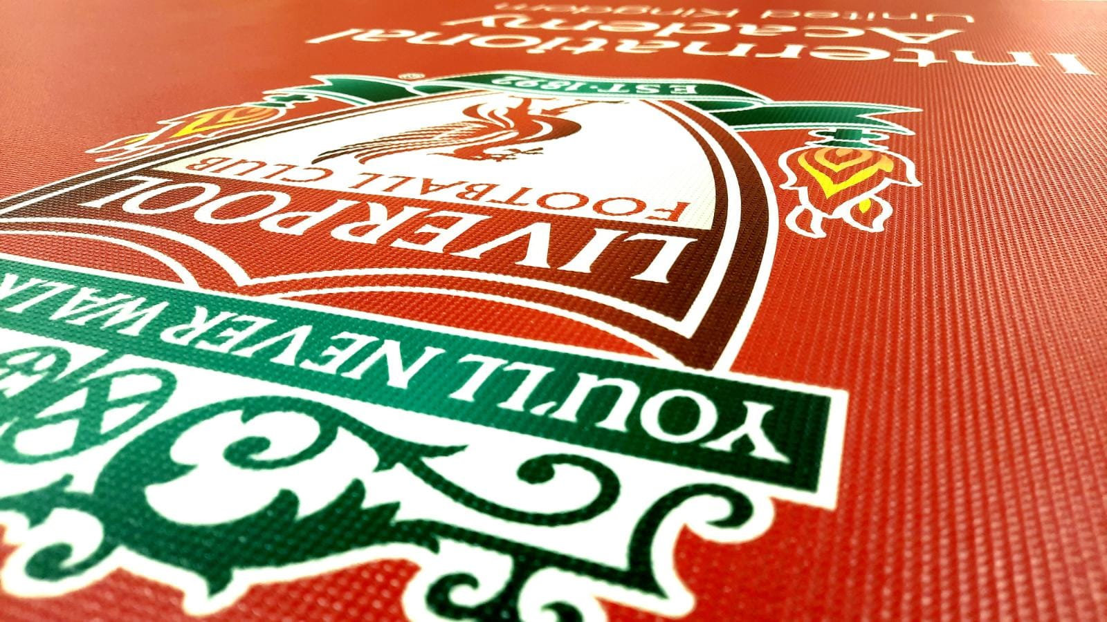 Liverpool-Mesh-Banner